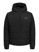 Jack & Jones Gewatteerde jas JJBEN SQUARE HOOD JACKET