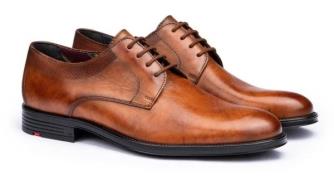 NU 20% KORTING: Lloyd Veterschoenen Davenport