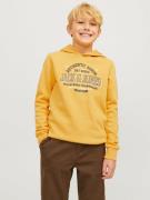 Jack & Jones Junior Hoodie JJELOGO SWEAT HOOD 2 COL 24/25 NOOS JNR