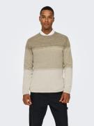 ONLY & SONS Gebreide trui ONSFELIX REG 12 CREW KNIT NOOS