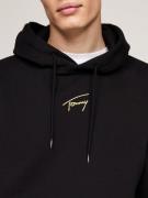 NU 20% KORTING: Tommy Jeans Plus Hoodie TJM REG GOLD SIGNT HOODIE EXT