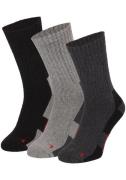 NU 20% KORTING: Apollo Basic sokken THERMAL/TRACKING SOCKS (2 paar, Se...