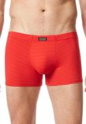 NU 20% KORTING: Bruno Banani Retro hipster met elastische band