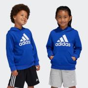 NU 20% KORTING: adidas Sportswear Hoodie LK BL FT HD