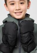 NU 20% KORTING: Jack Wolfskin Wanten EASY ENTRY MITTEN K