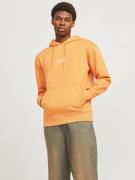 Jack & Jones Hoodie JORVESTERBRO SWEAT HOOD NOOS