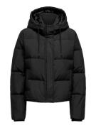 NU 20% KORTING: Only Gewatteerde jas ONLALICE SHORT DOWN JACKET NOOS O...