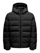 ONLY & SONS Outdoorjack ONSMARVIN LIFE PUFFER JACKET CS OTW