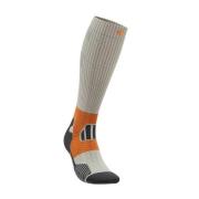 NU 20% KORTING: Bauerfeind Sokken TRAIL RUN COMPRESSION SOCKS (1 paar)