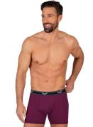 NU 20% KORTING: Trigema Boxershort TRIGEMA Pants (1 stuk)