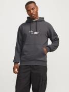 Jack & Jones Hoodie JCOLIMA LOGO SWEAT HOOD BF