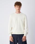 Champion Sweatshirt ICONS TONAL Terry Crewneck Sweatshirt (1-delig)