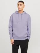 Jack & Jones Hoodie JJESTAR met 3D-print en capuchon voor veelzijdige ...