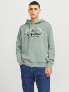 Jack & Jones Hoodie JJELOGO SWEAT HOOD 2 COL 24/25 NOOS