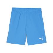 PUMA Trainingsshort TEAMGOAL SHORTS
