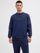 Jack & Jones Sweatshirt JORNORREBRO EMB SWEAT CREW NOOS