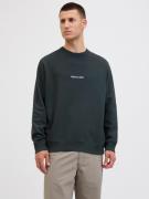 Jack & Jones Sweatshirt JORNORREBRO EMB SWEAT CREW NOOS