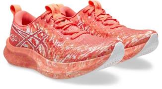 Asics Runningschoenen NOOSA TRI 16