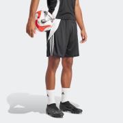 adidas Performance Trainingsshort TIRO24 TRSHO (1-delig)