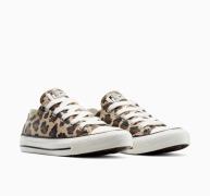 Converse Sneakers CHUCK TAYLOR ALL STAR
