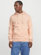Jack & Jones Hoodie JJESTAR BASIC SWEAT HOOD NOOS