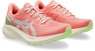 Asics Runningschoenen GT-1000 13 TR