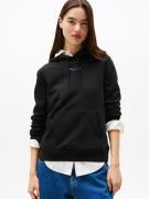 TOMMY JEANS Hoodie TJW REG LINEAR HOODIE EXT