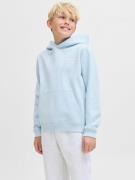 Jack & Jones Junior Hoodie JORNORREBRO TYPO BACK SWEAT HOOD SN JNR
