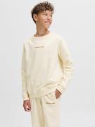 Jack & Jones Junior Sweatshirt JORNORREBRO EMB SWEAT CREW NOOS JNR