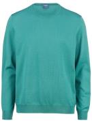 OLYMP Trui met ronde hals OLYMP brei casual moderne gebreide trui