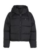 Tommy Jeans Curve Gewatteerde jas JW ASPEN PUFFER EXT met hoge kraag, ...