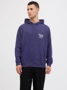 Jack & Jones Hoodie JORNORREBRO TYPO BACK SWEAT HOOD SN