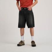 Santa Cruz Short BIG SHORTS