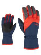 Ziener Skihandschoenen Lando