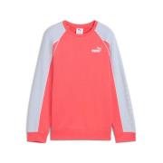 PUMA Sweatshirt SPORT CREW TR G