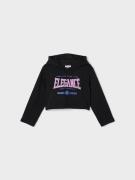 Name It Hoodie NKFVIALA LS SHORT BOXY SWEAT WH BRU N1