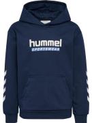 hummel Hoodie (1-delig)