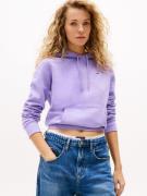 TOMMY JEANS Hoodie TJW REG S FLAG HOODIE