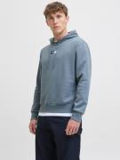 Jack & Jones Hoodie JJPAN SWEAT HOOD