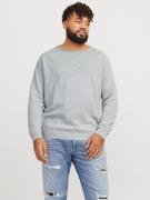 Jack & Jones PlusSize Trui met ronde hals JJEHILL KNIT CREW NECK NOOS ...
