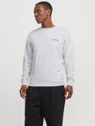 Jack & Jones Sweatshirt JJEBRADLEY GRAPHIC SWEAT CREW NOOS