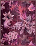 Descanso Plaid Farze Zeer zacht, knuffeldeken, 130x160 cm, omkeerbaar,...