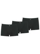 Bugatti Hipster (3 stuks)