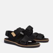 Timberland Sandalen ADLEY SHORE BACKSTRAP SANDAL