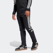 adidas Performance Trainingsbroek SQ25 SW PNT Y (1-delig)
