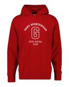 Gant Hoodie GRAPHIC SWEAT HOODIE