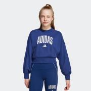 adidas Sportswear Sweatshirt JG CLGT FT SWT