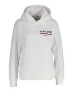 Gant Hoodie REG GRAPHIC HOODIE geribbelde uiteinden, capuchon zonder k...