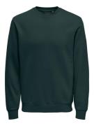ONLY & SONS Sweatshirt ONSCERES CREW NECK NOOS