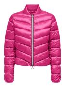 Only Gewatteerde jas ONLVEGA QUILT SHORT LIFE JACKET CC OTW